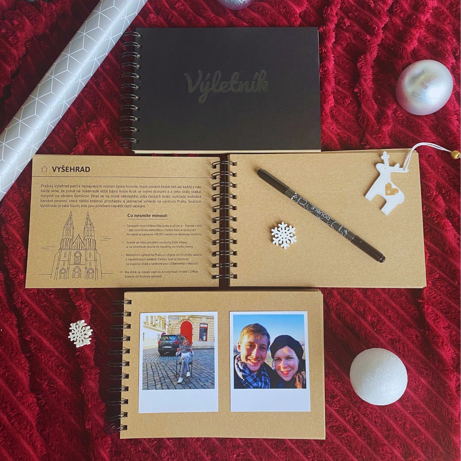 Kniha Výletník: Průvodce s fotoalbem po ČR 