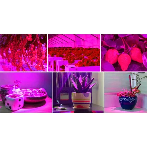 Závěsné svítidlo na panel pro růst rostlin 225 LED + lana