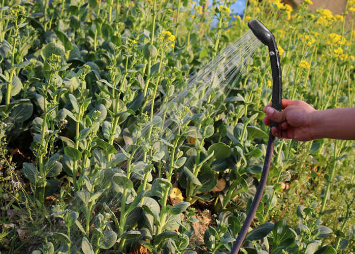 Přenosná cestovní sprcha